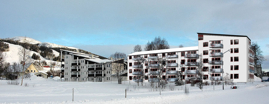 Karolinen Duved